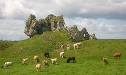 640px-Clonmacnoise_castle_and_cattle